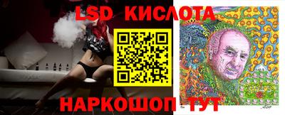 твердый Гусев