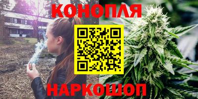 твердый Гусев