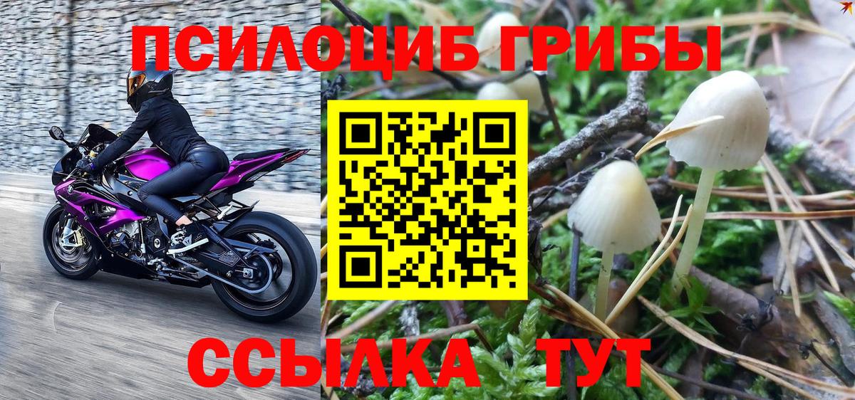 Псилоцибиновые грибы ЛСД Заволжье